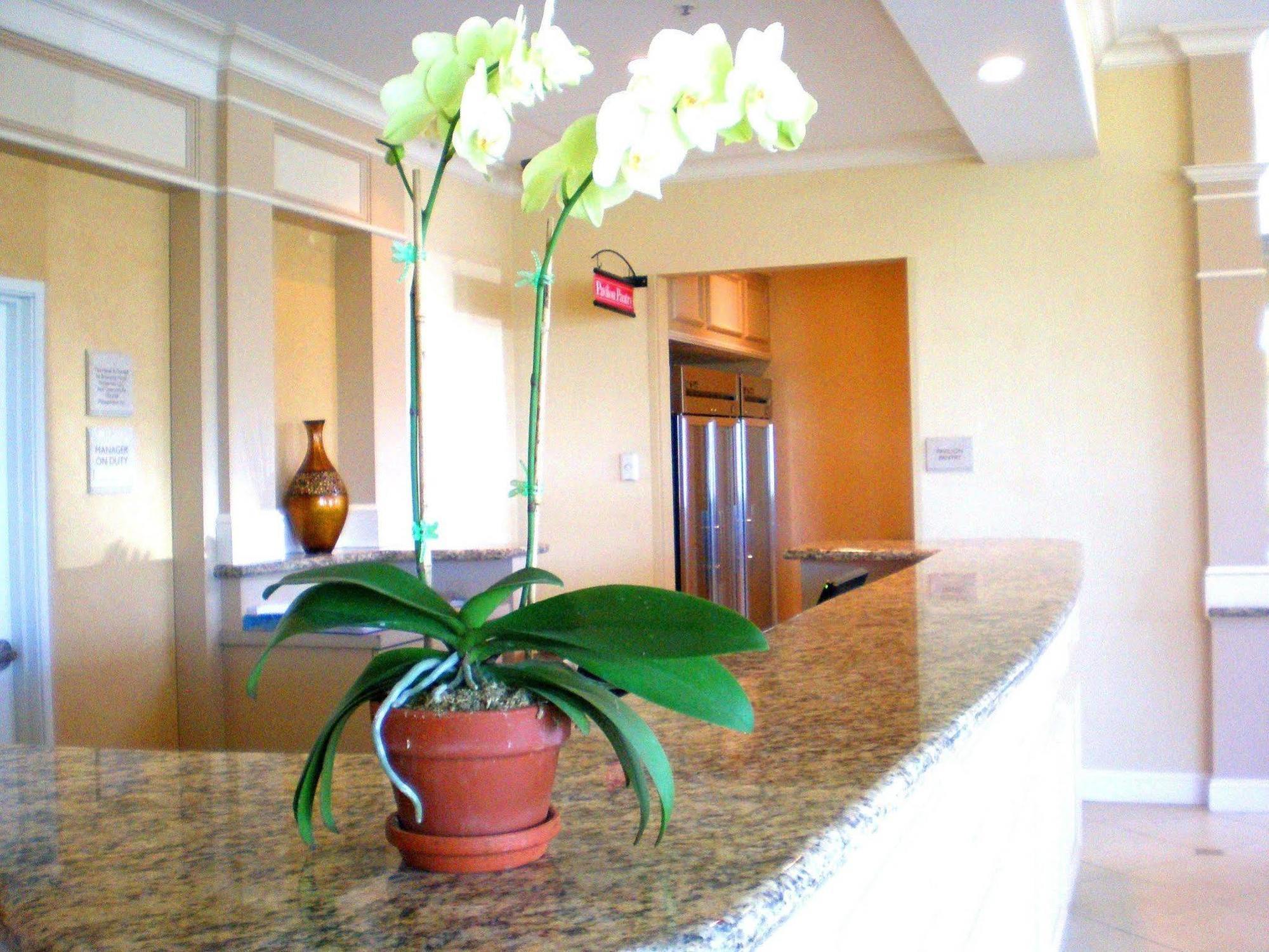 Hilton Garden 3*